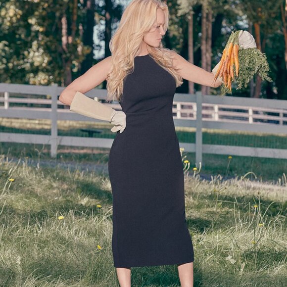 Aritzia Babaton Doorway Dress - new with tags - Picture 3 of 3